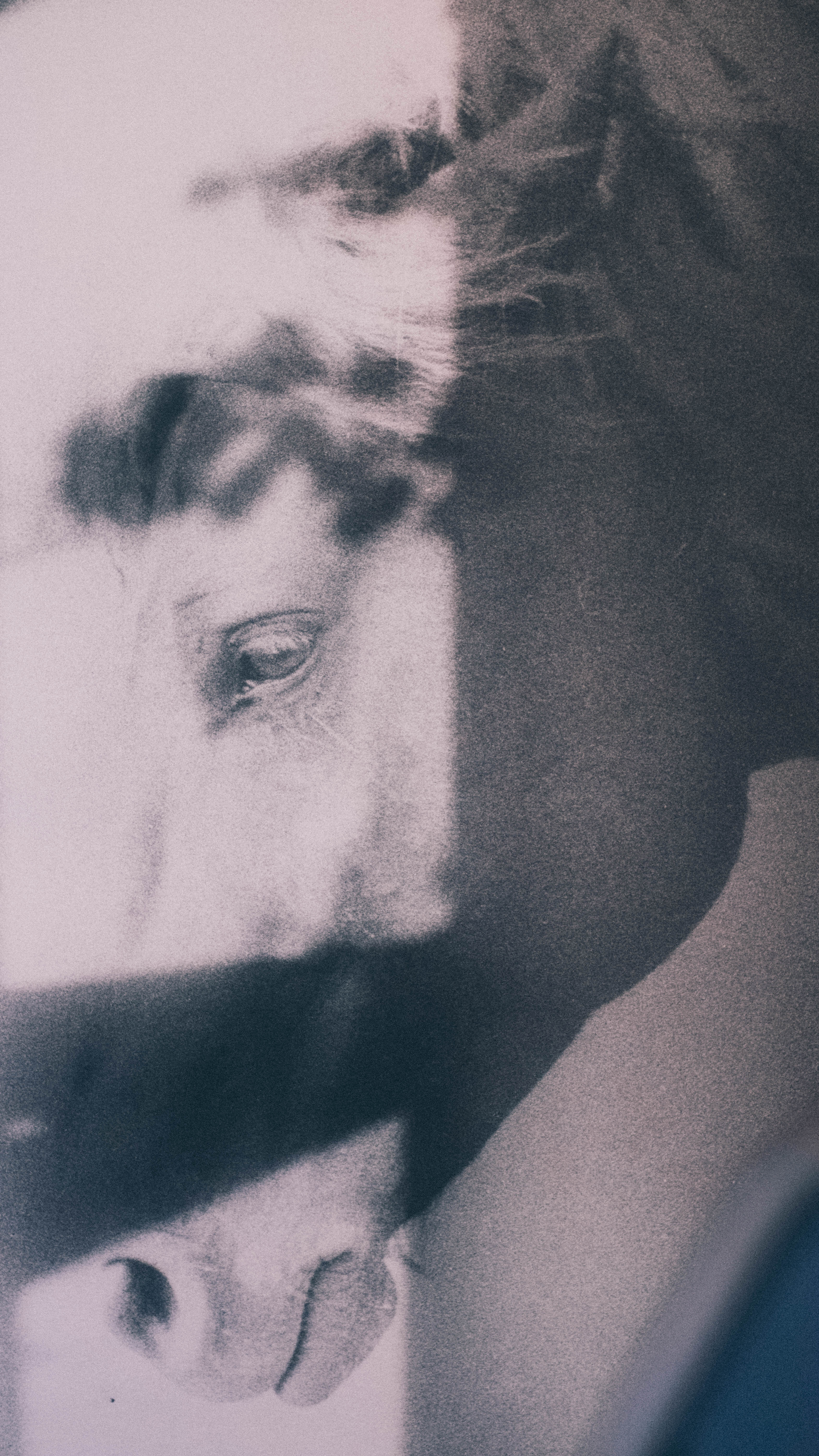 Germany — 04